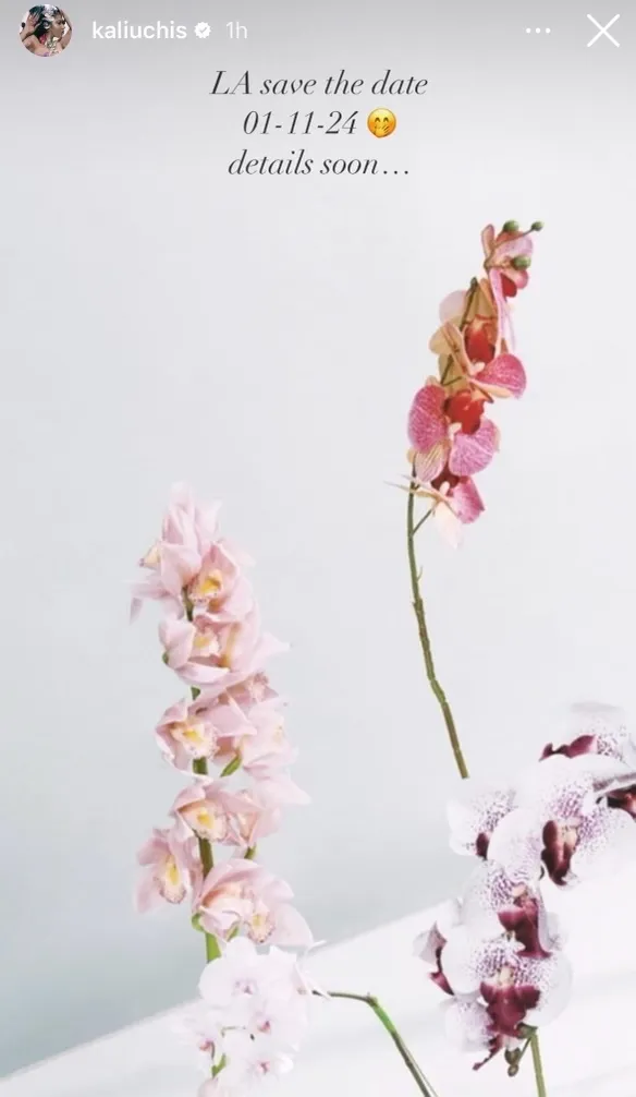 Kali Uchis Teases Listening Party for 'Orquídeas' | News | PopFiltr